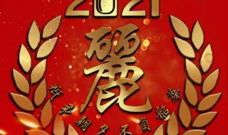 不负韶华三个字怎么概括 不负韶华的励志句子