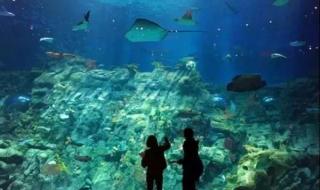 深圳小梅沙门票怎么预订 深圳小梅沙门票