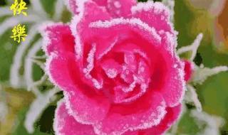 2023公秋和母秋怎么区别 霜降是2023的几月几日