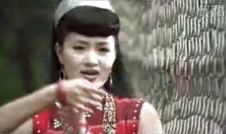 十大民族歌手 雷佳中华56民族之歌