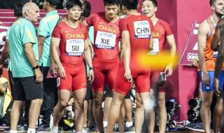 苏炳添世界第八是啥意思 苏炳添世界排名消失