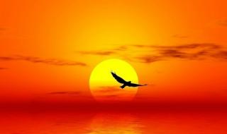 从头再来歌词全部 中国达人秀从头再来