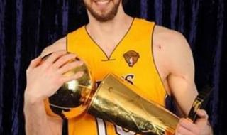 2008年奥运会男乒决赛冠军 2008年奥运会冠亚军是谁