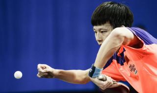 2017亚洲乒乓球锦标赛7金得主 亚洲羽毛球锦标赛2016男单冠军是哪位