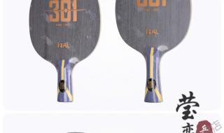 乒乓球台哪个牌子的好 目前最好的三个牌子的乒乓球拍